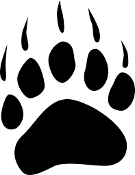 bear paw 